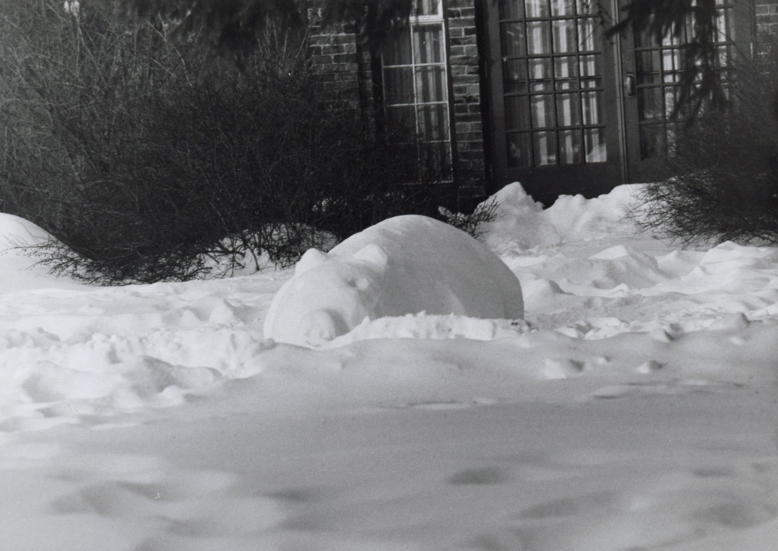 A snow sculture of a pig outside Mandelle residence hall