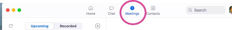 Zoom application window after login, with the "Meetings" button circled.
